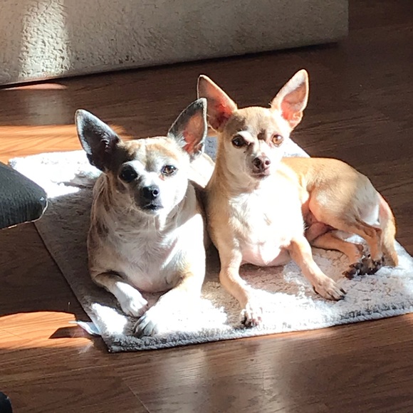 Hi! I’m Lynor and Welcome to my Closet! - Picture 8 of 8